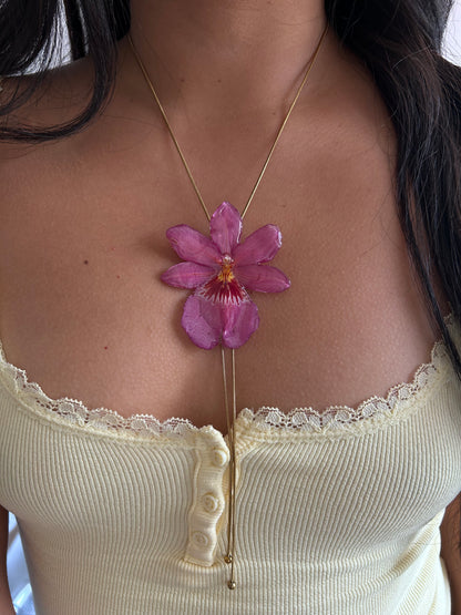 Nelly isler pink