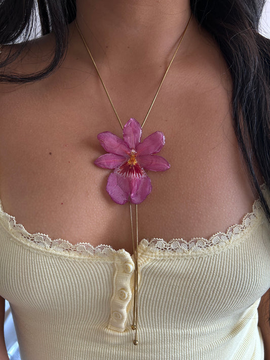 Nelly isler pink