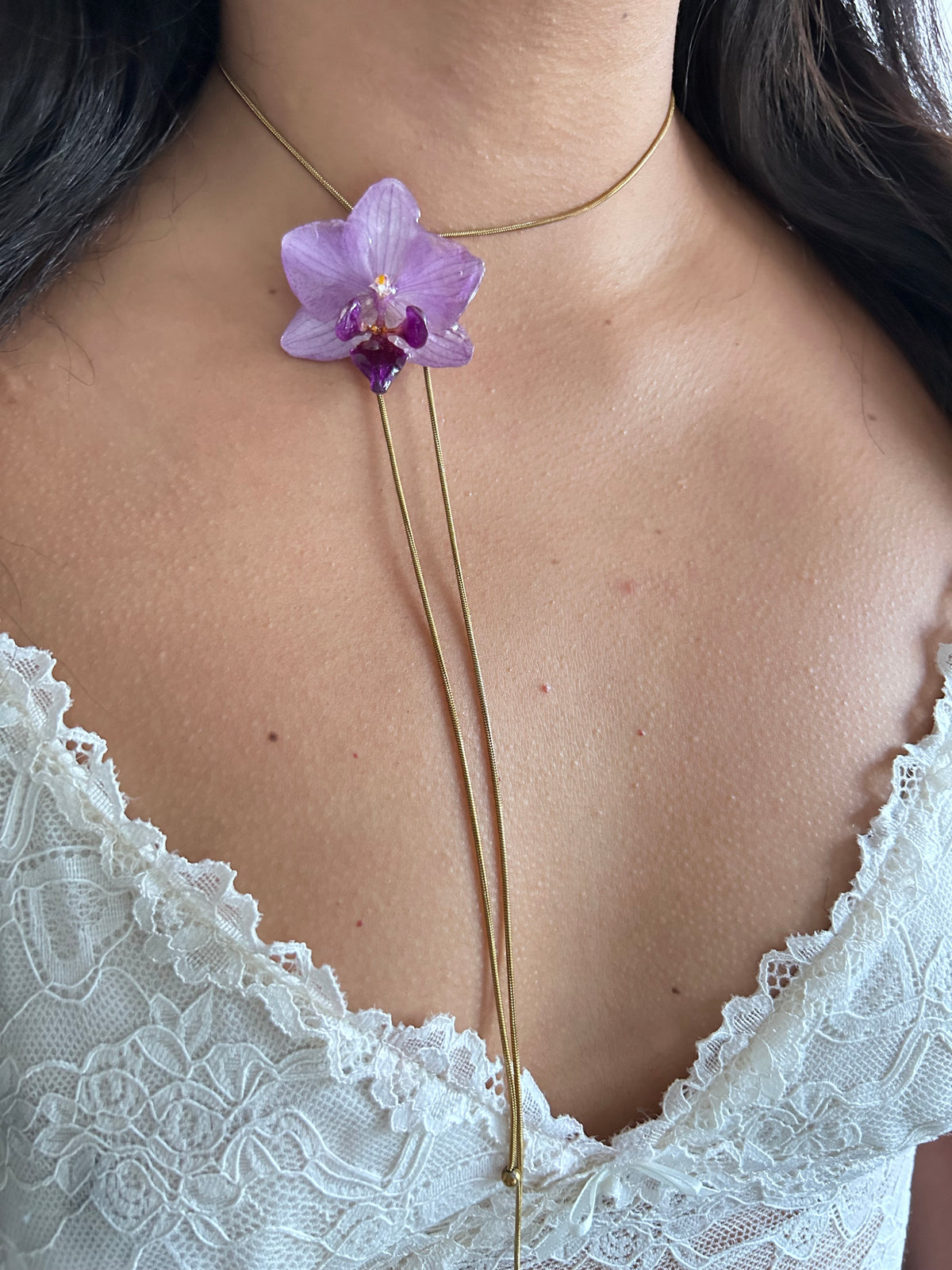 Phalaenopsis mini