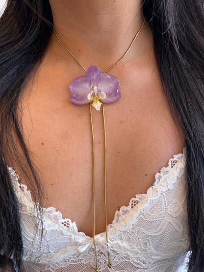 Sweet Orchid