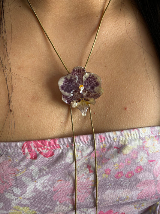Purple orchid