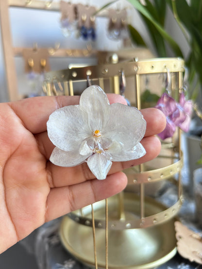 Phalaenopsis white medium