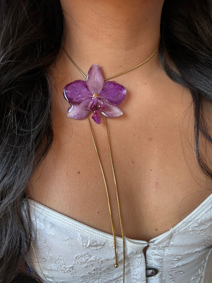 Grand Orchid Purple