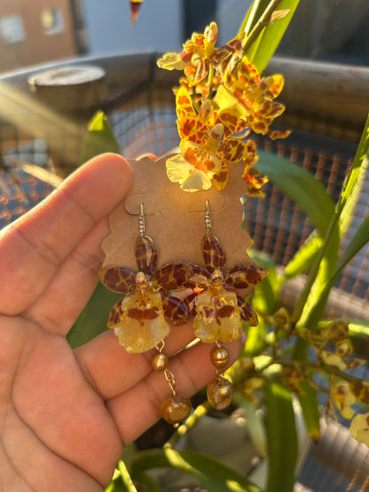 Mini yellow cambria earrings