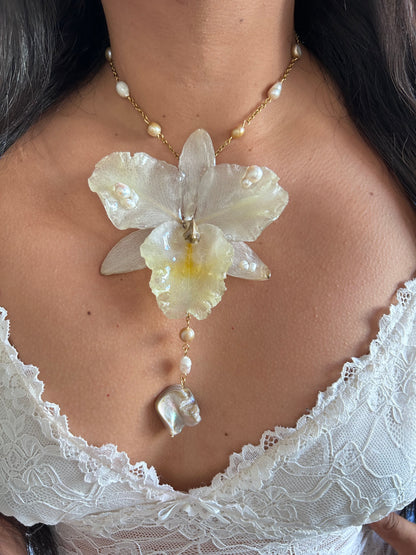 Grand Cattleya white