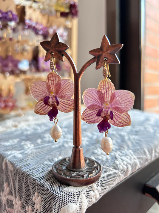 Orquídeas mini Phalaenopsis