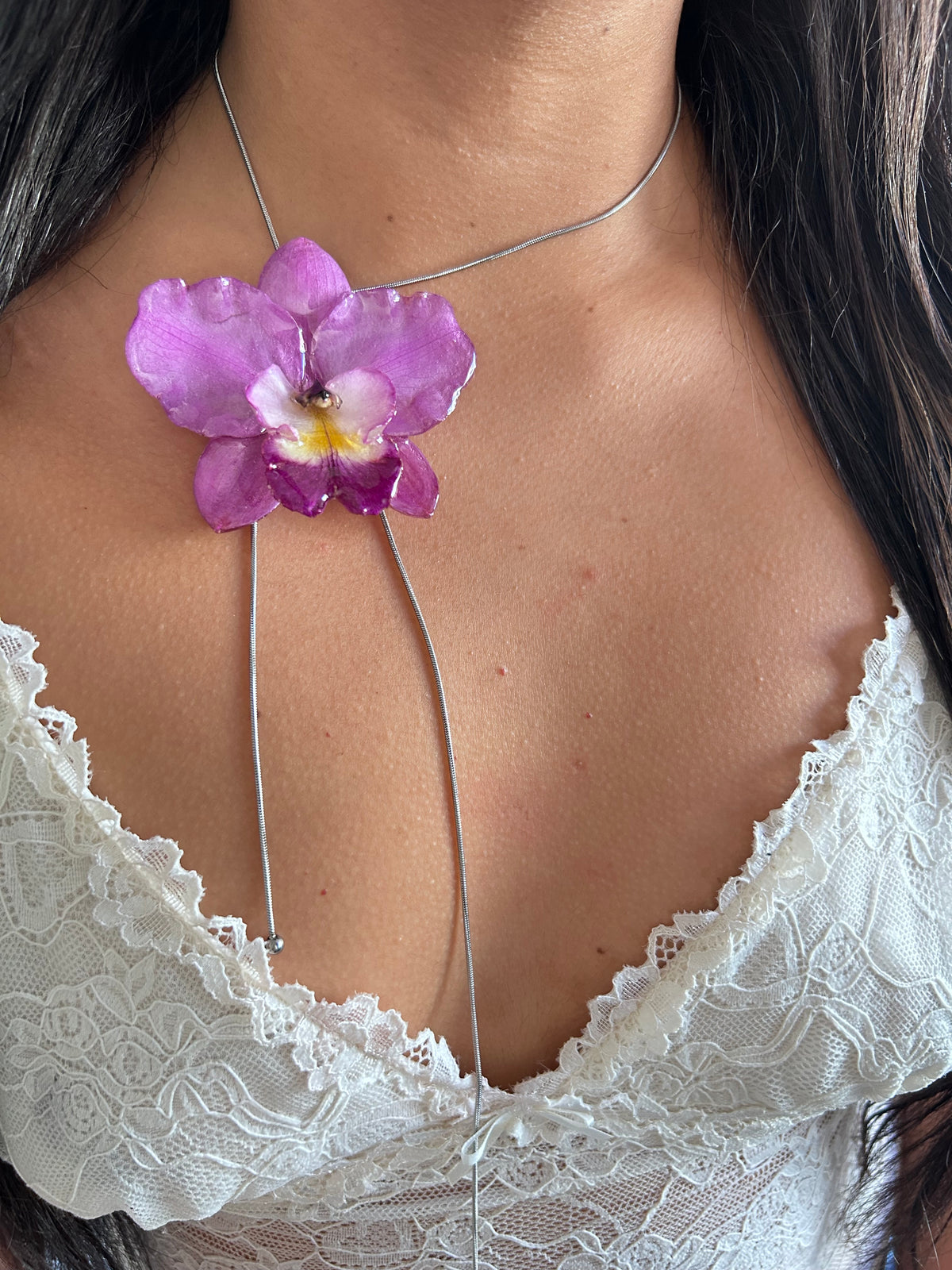 Cattleya de colección