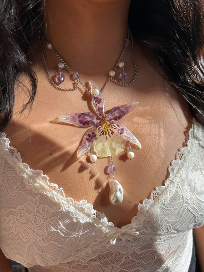 Beallara Celestial