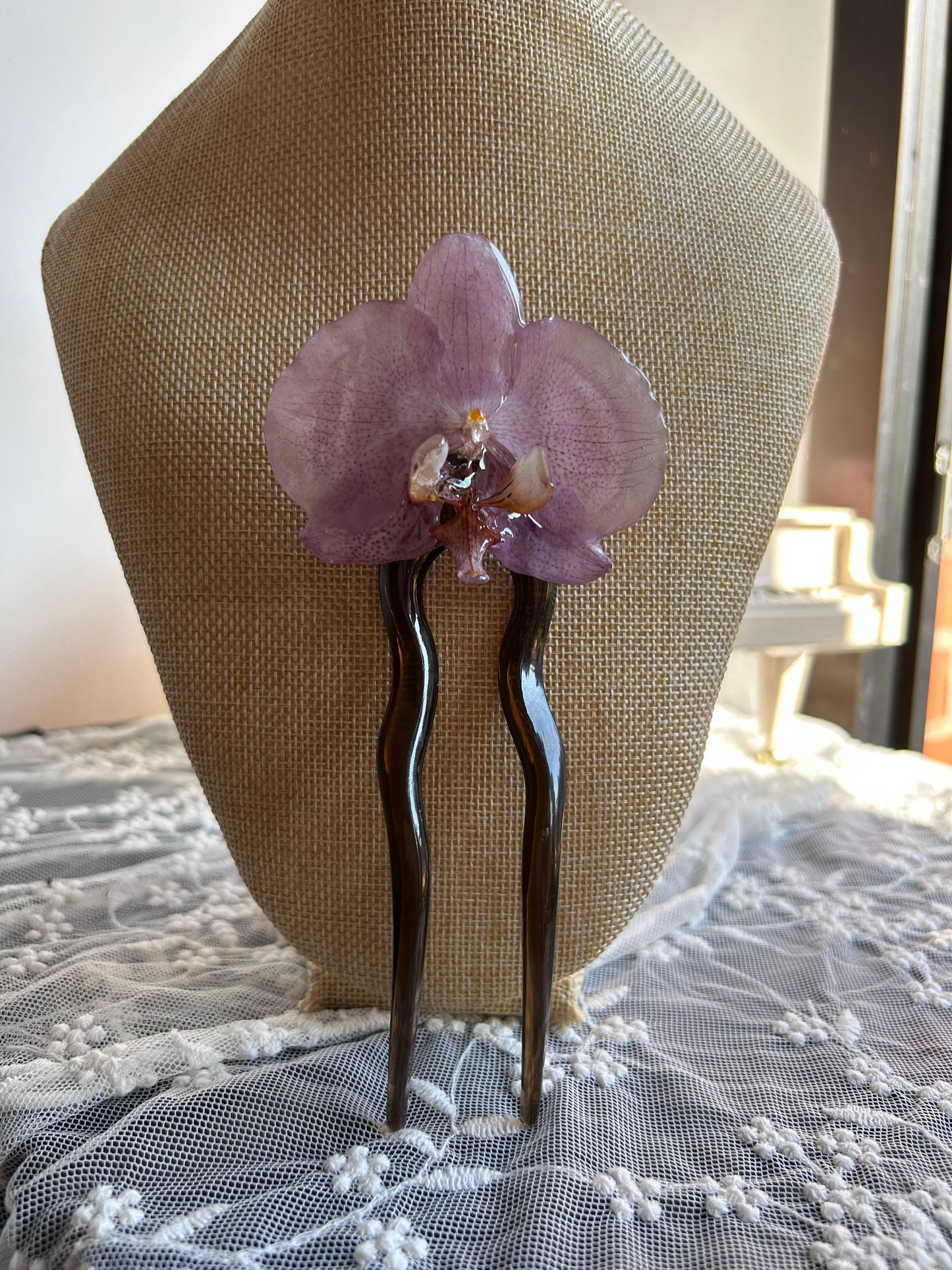 Pinza Phalaenopsis