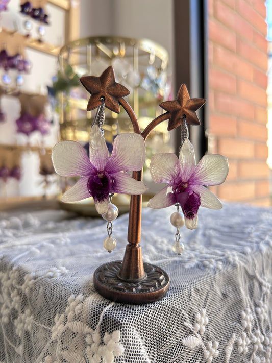 Dendrobium x phalaenopsis earrings