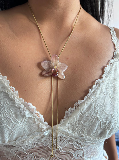 Phalaenopsis picosa
