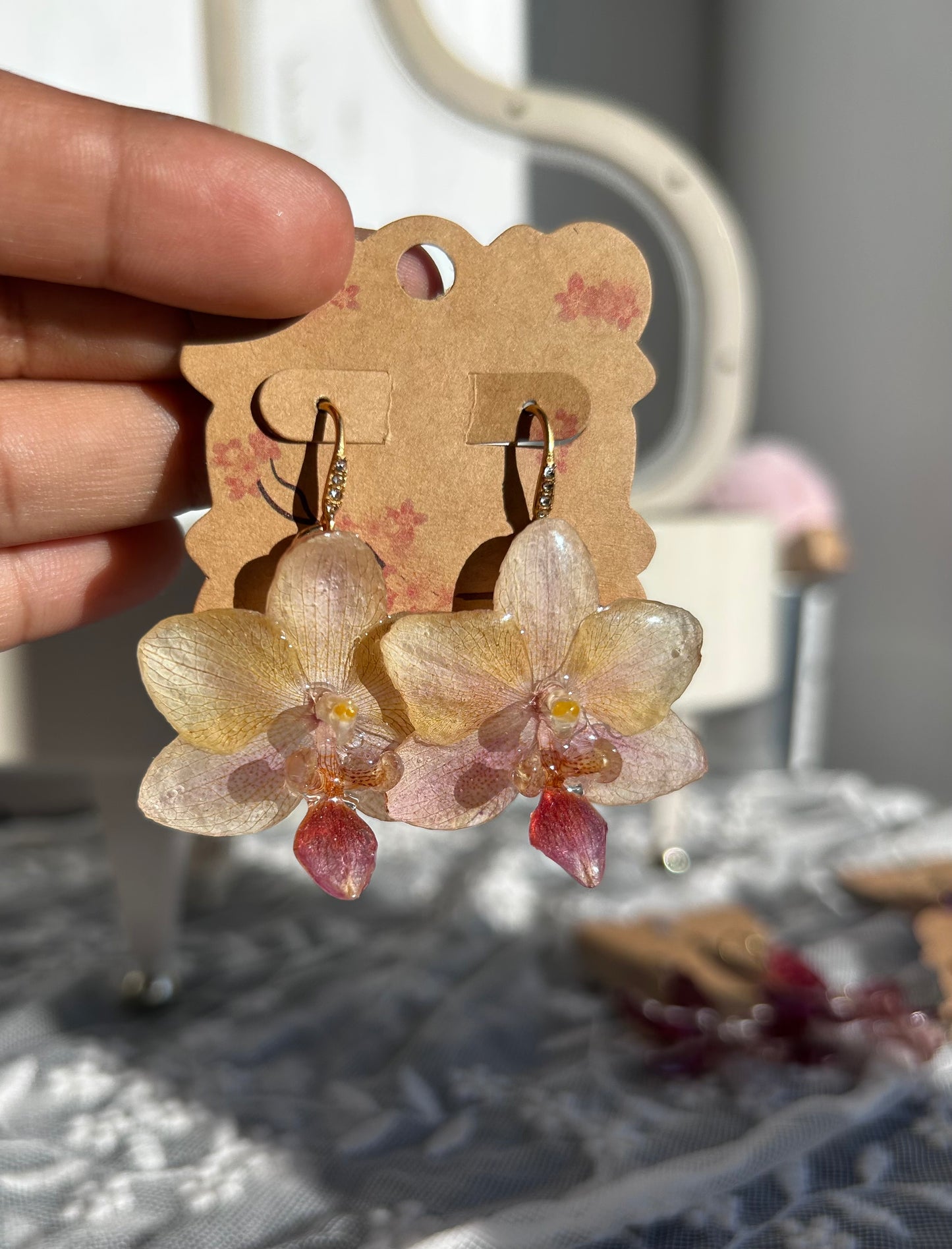Mini phalaenopsis pastel