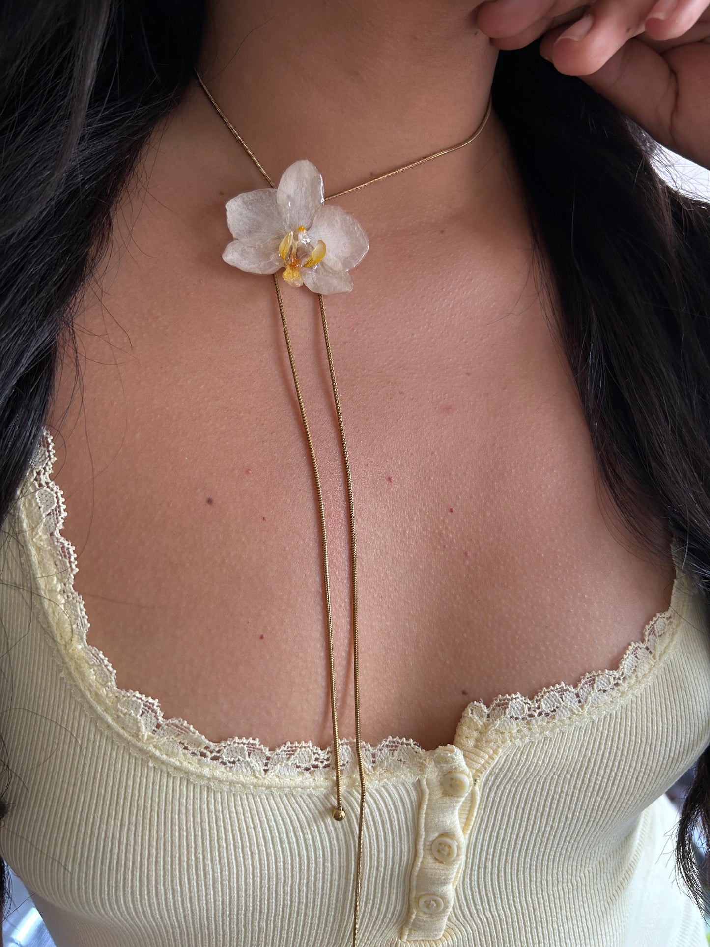 Orchid mini white