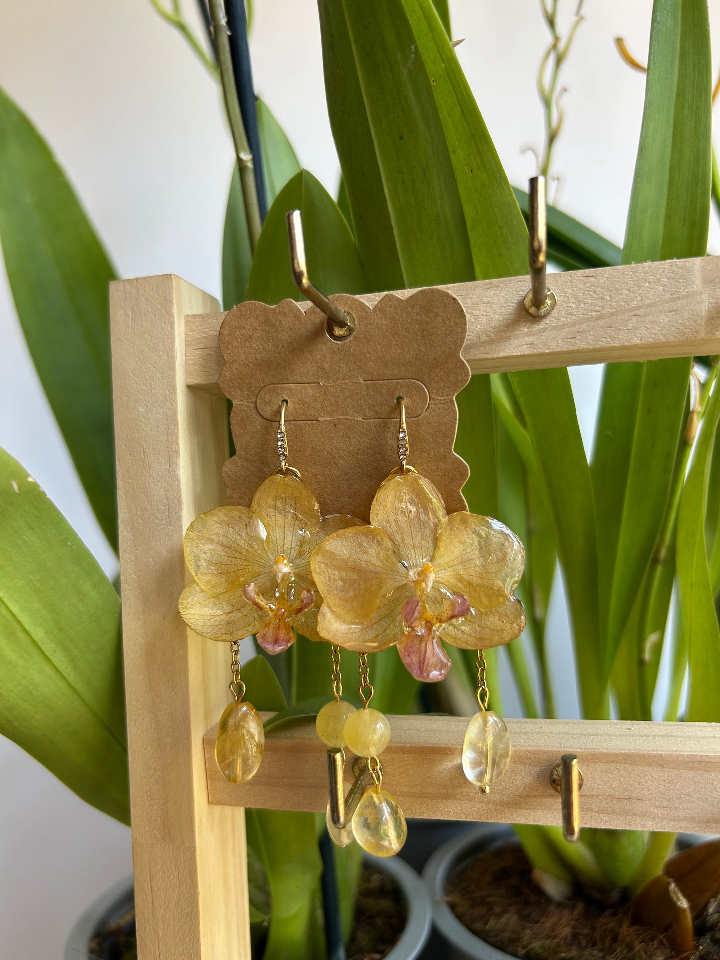 wild yellow mini orchid earrings