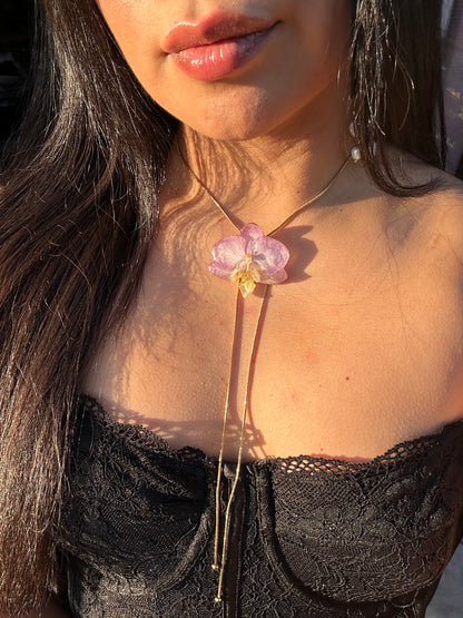 Phalaenopsis dulce lila