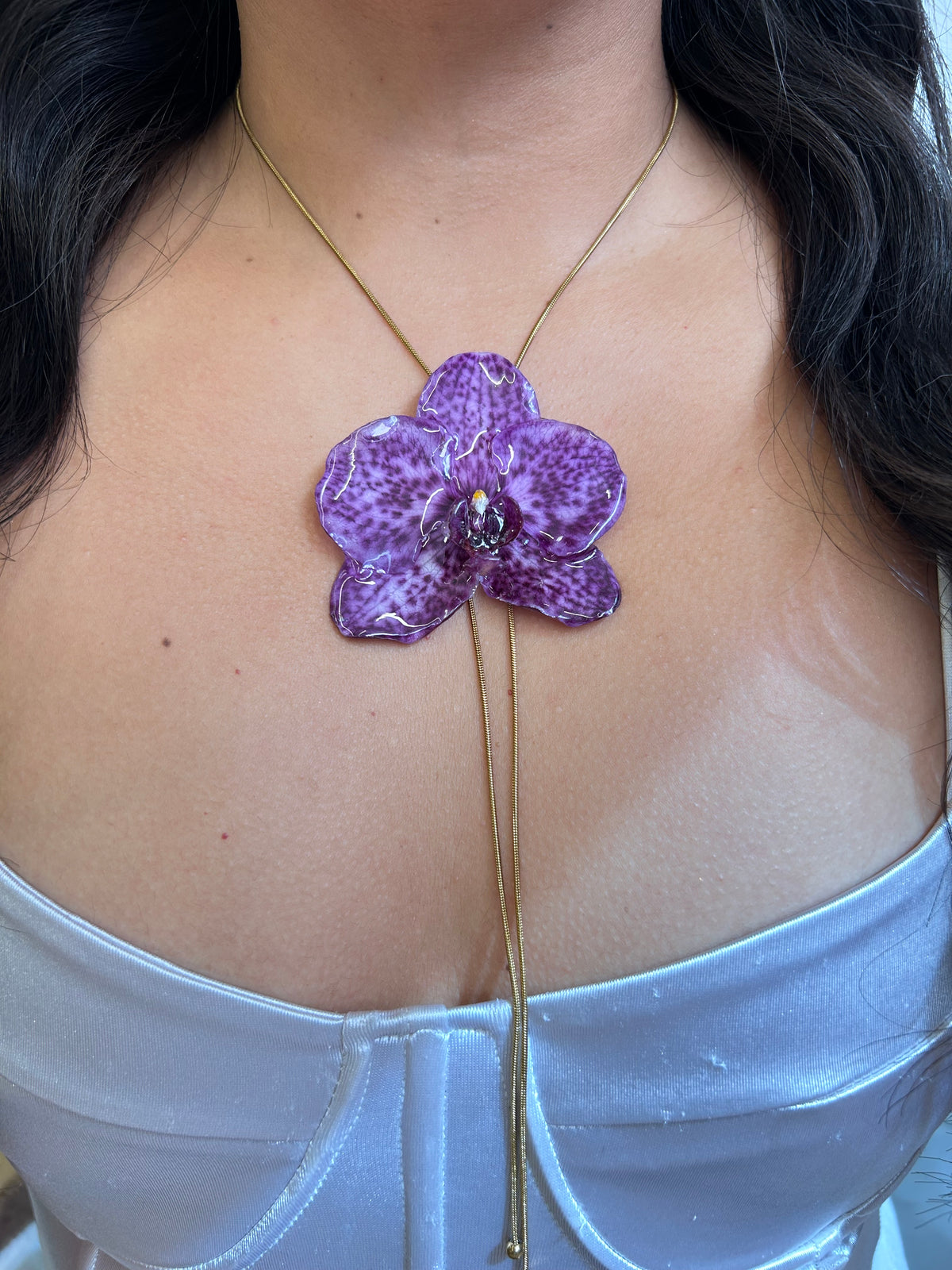 Grand Orchid moteada