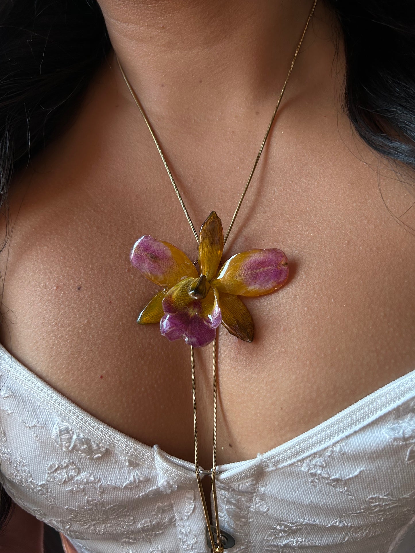 Cattleya