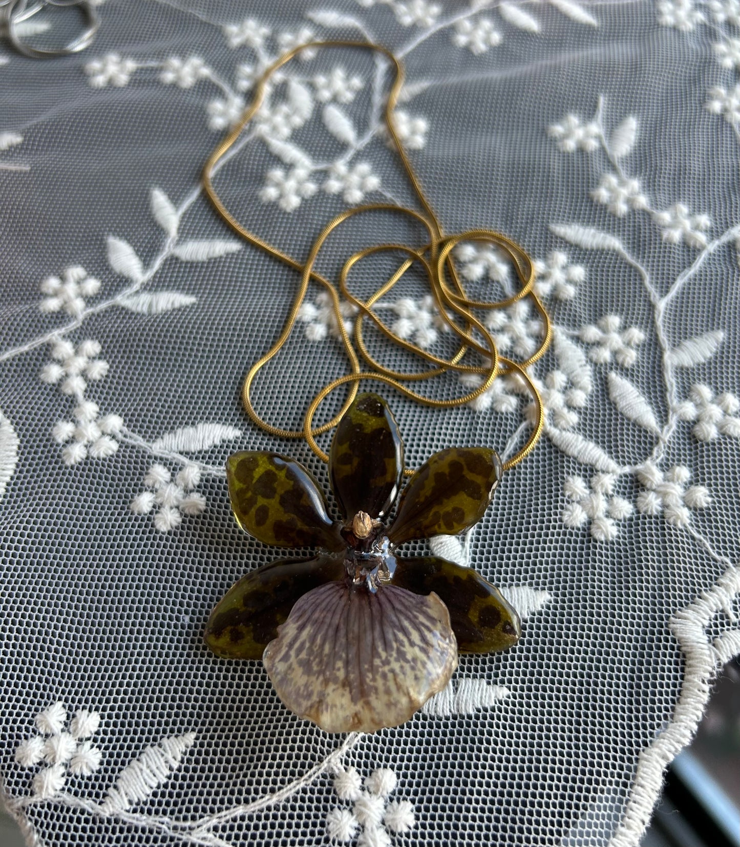 Orchid Zygopetalum Green