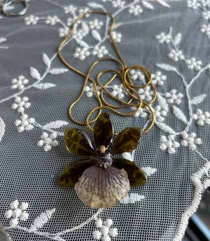 Orchid Zygopetalum Green