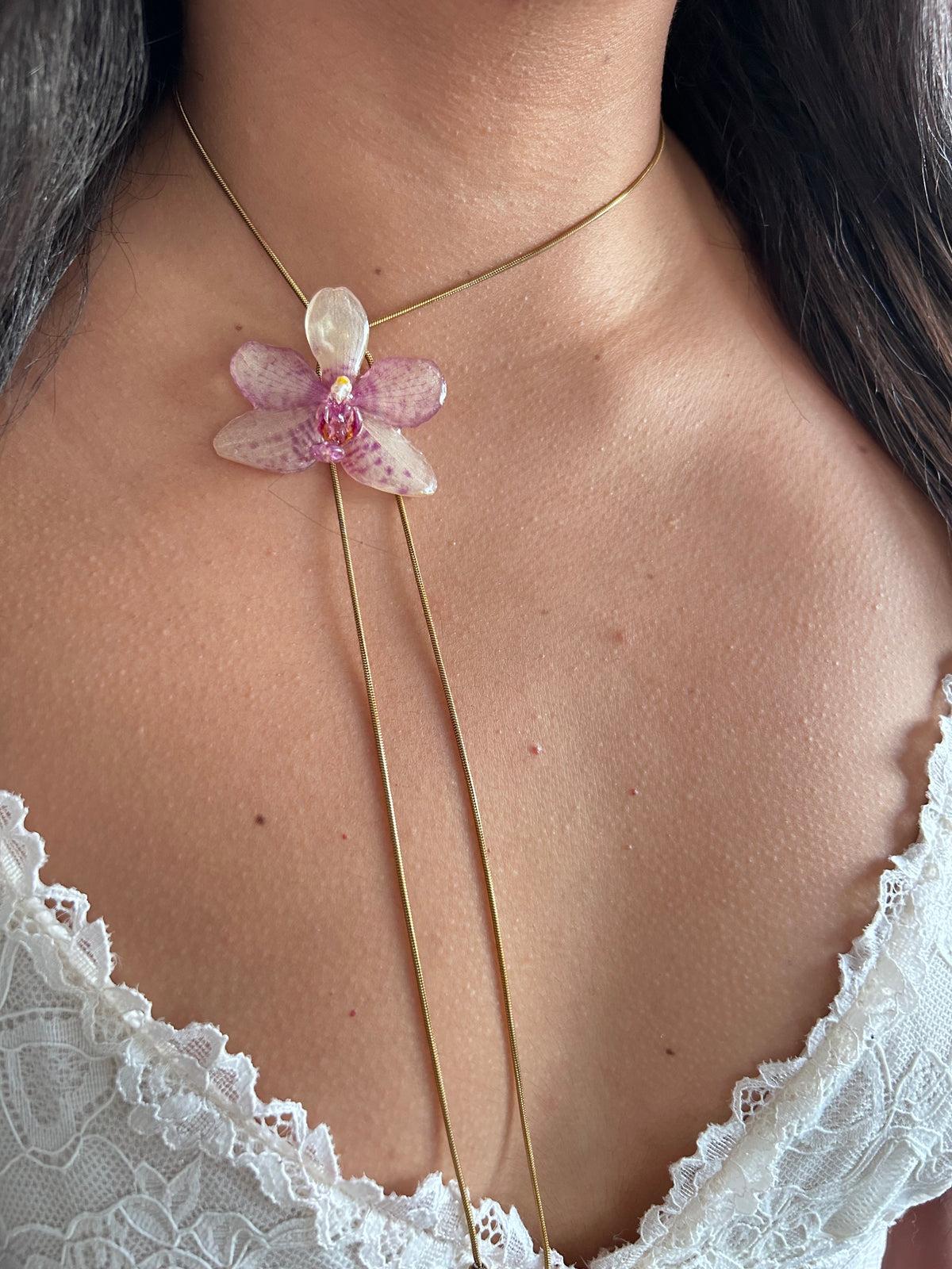 Orchid Grosseto