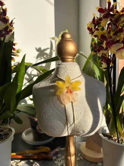 Exotic orchid wild yellow