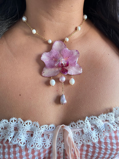 Tropical Orchid