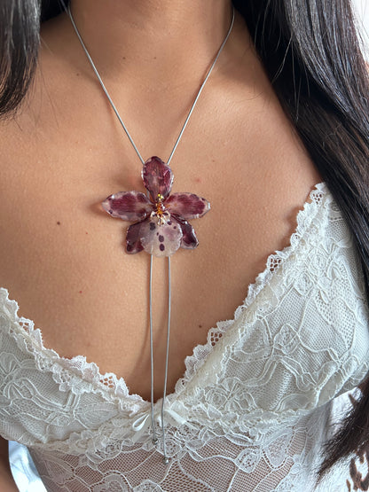Exotic orchid Cambria