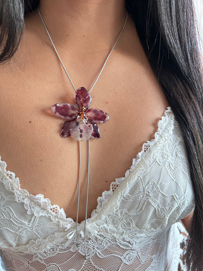 Exotic orchid Cambria