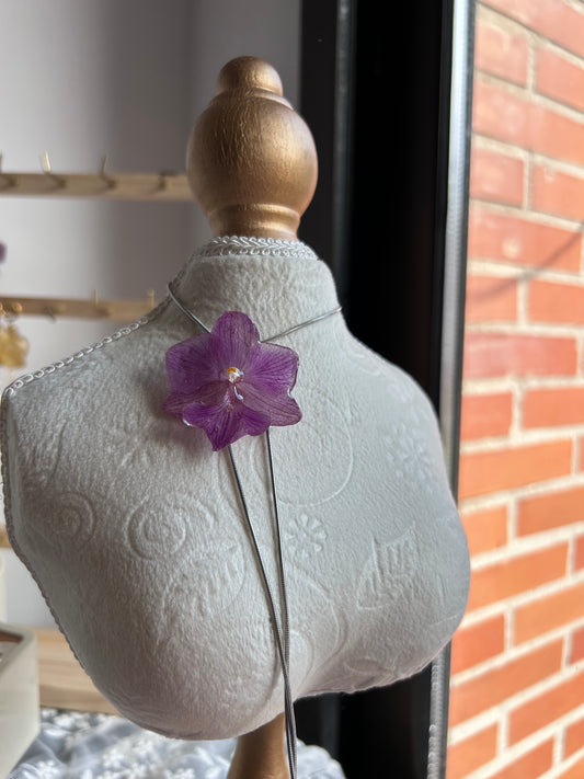 Orchid mini purple