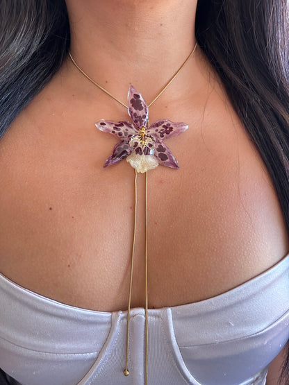 Beallara lariat