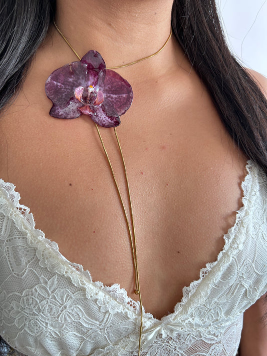 Grand Orchid purple