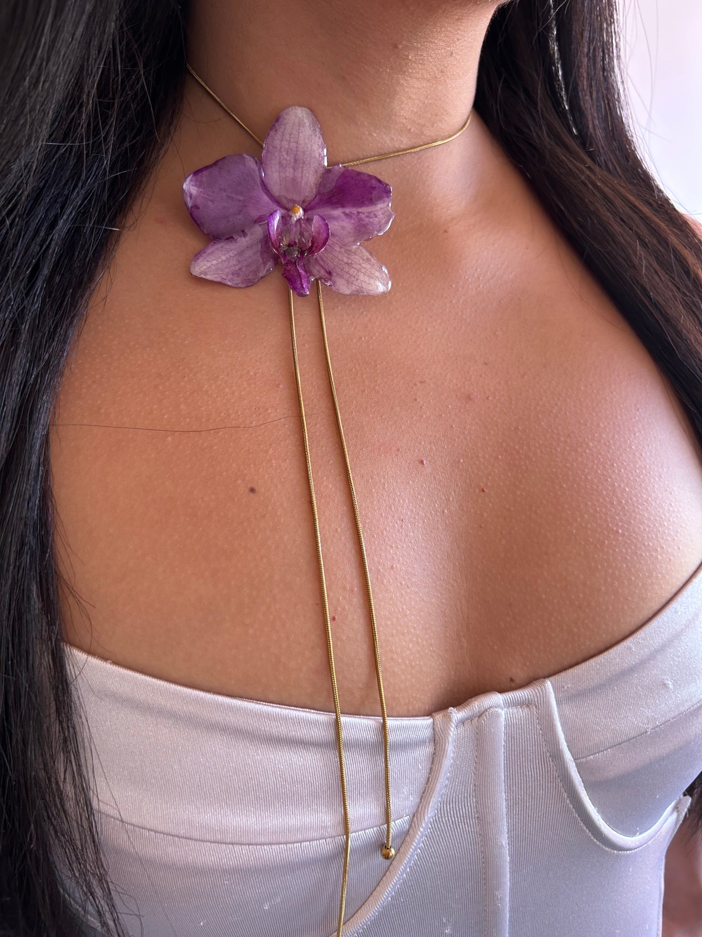 Grand Phalaenopsis purple