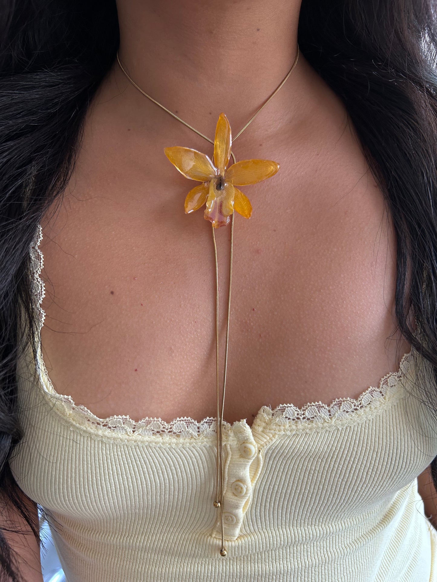 Cattleya wild yellow
