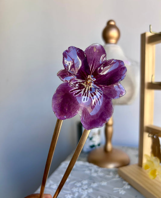 Pinza orquídea Miltonia