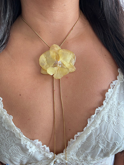 Phalaenopsis Yellow