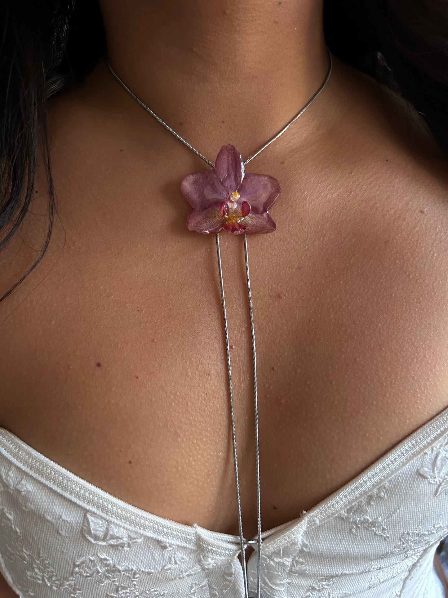 Mini pink Phalaenopsis orchid