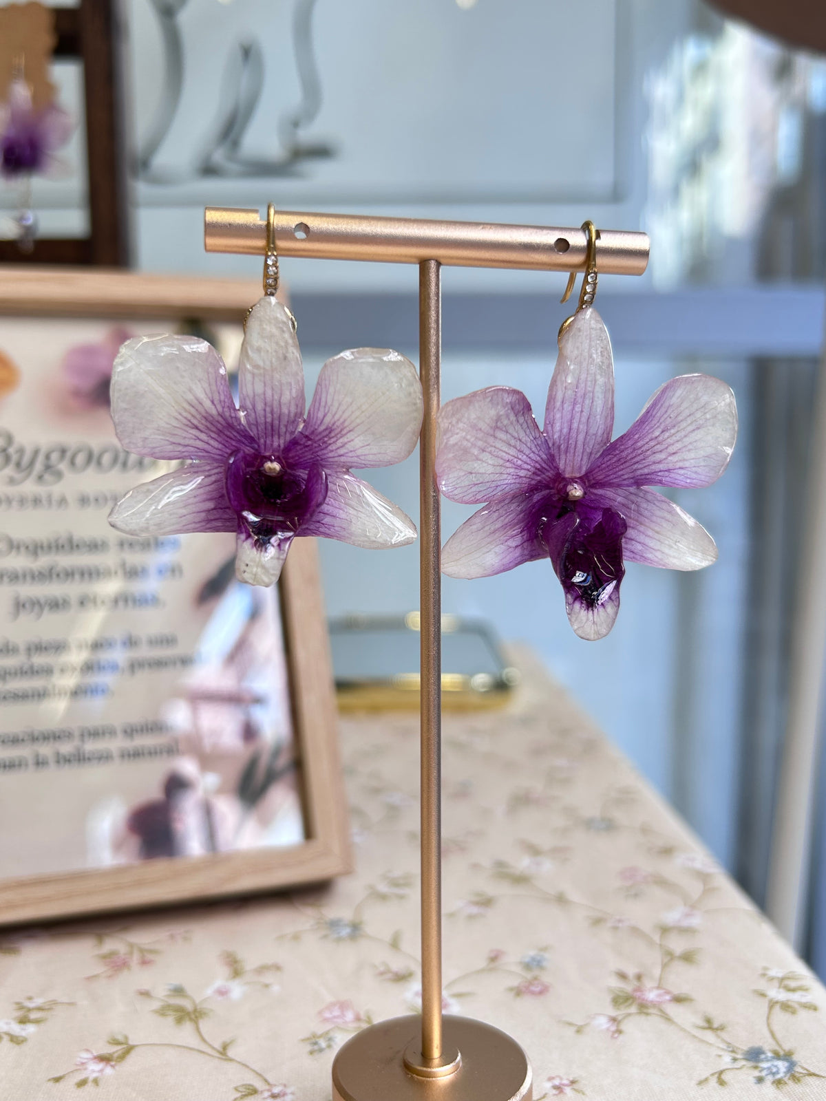 Pendientes dendrobium x phalaenopsis