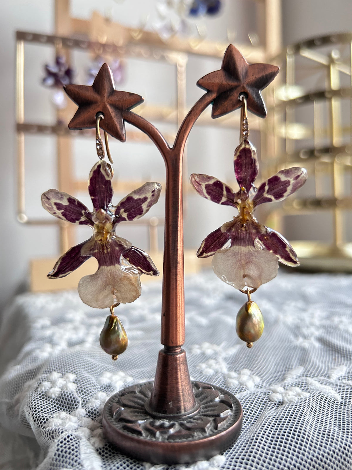Oncidium Orchid