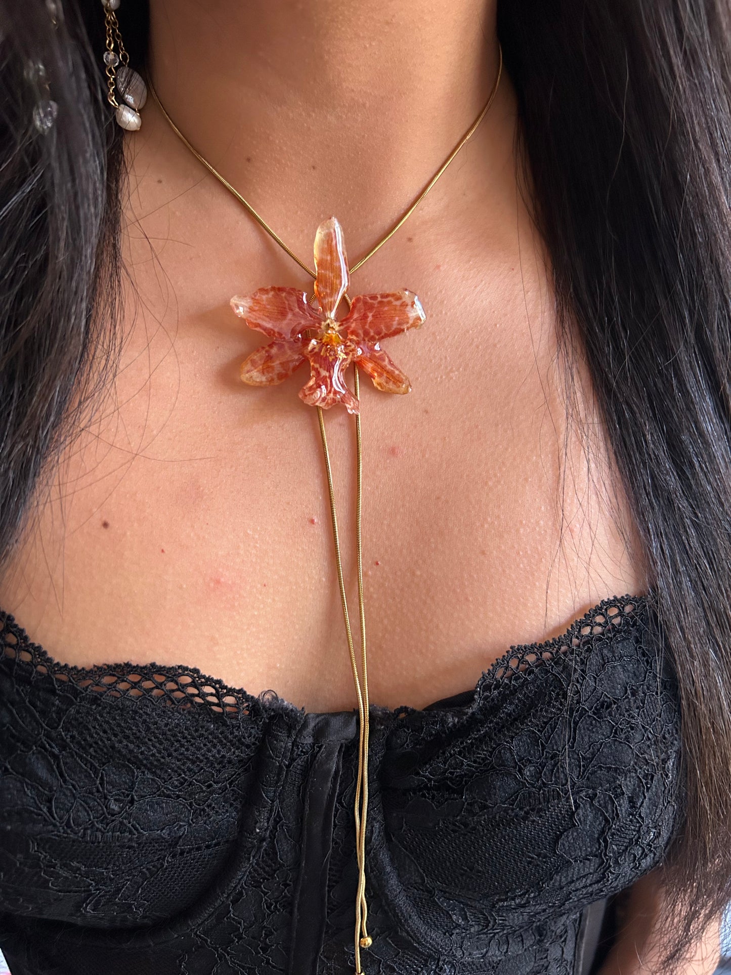 Exotic orange orchid