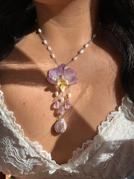 Sweet mini orchid