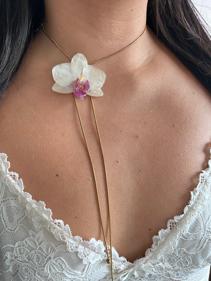 Orchid medium white