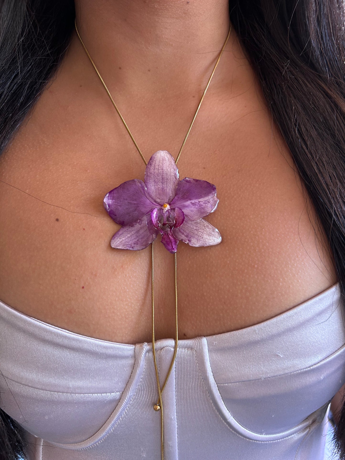 Grand Phalaenopsis purple