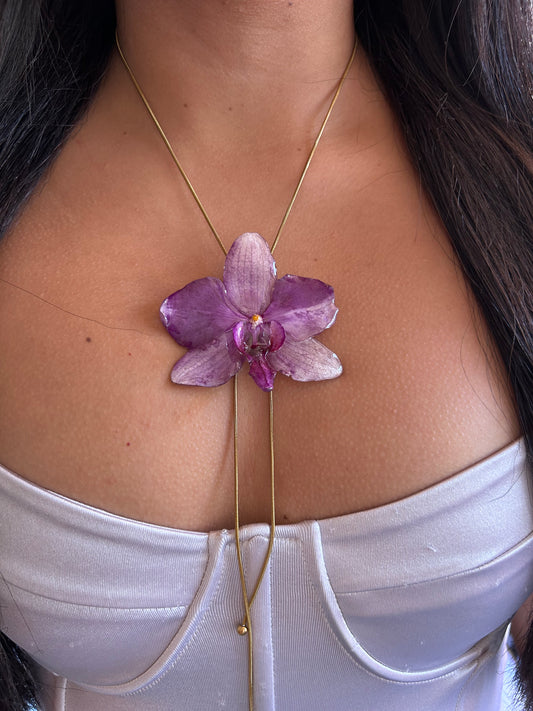 Grand Phalaenopsis purple