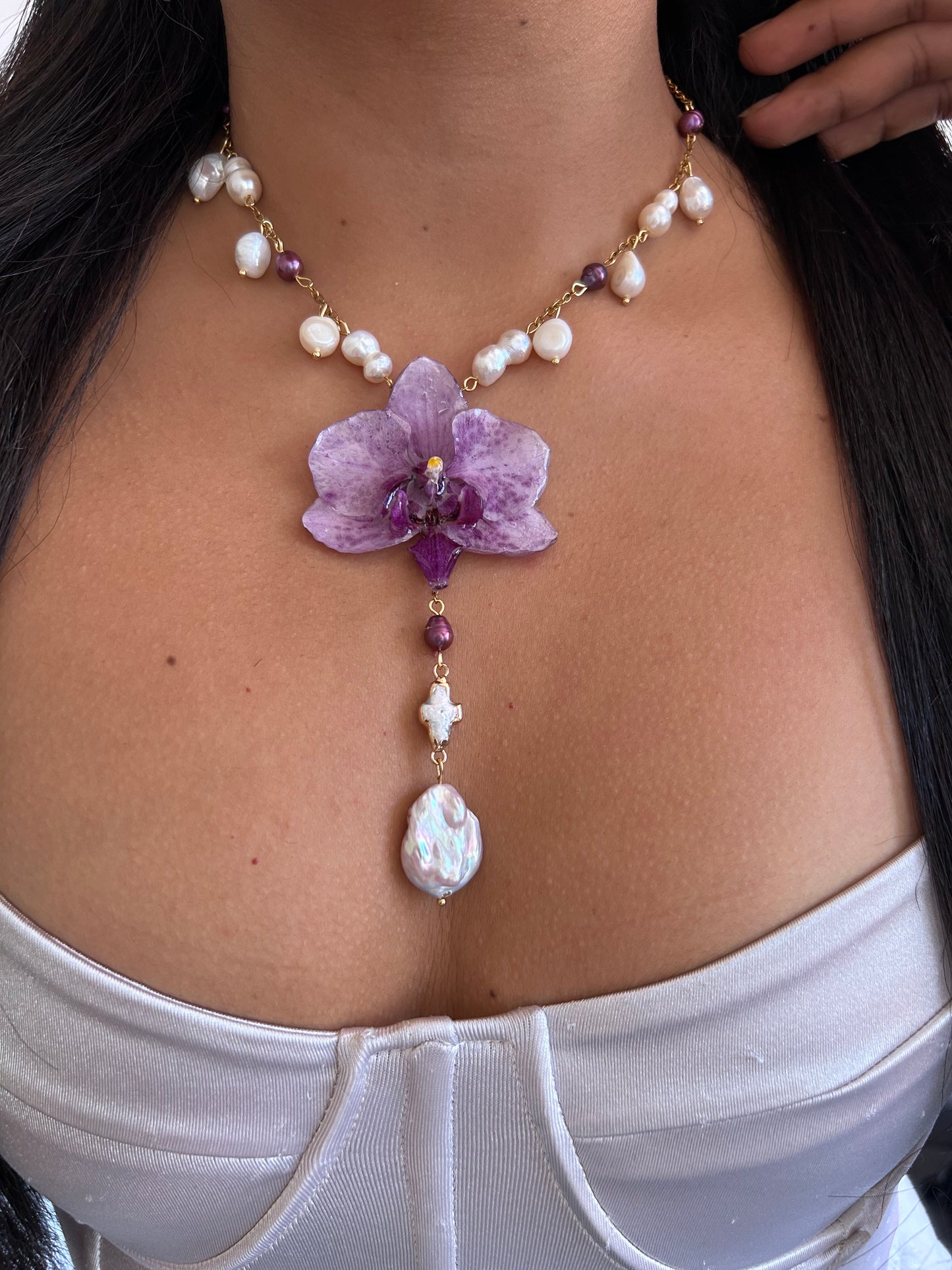 Sweet Phalaenopsis orchid