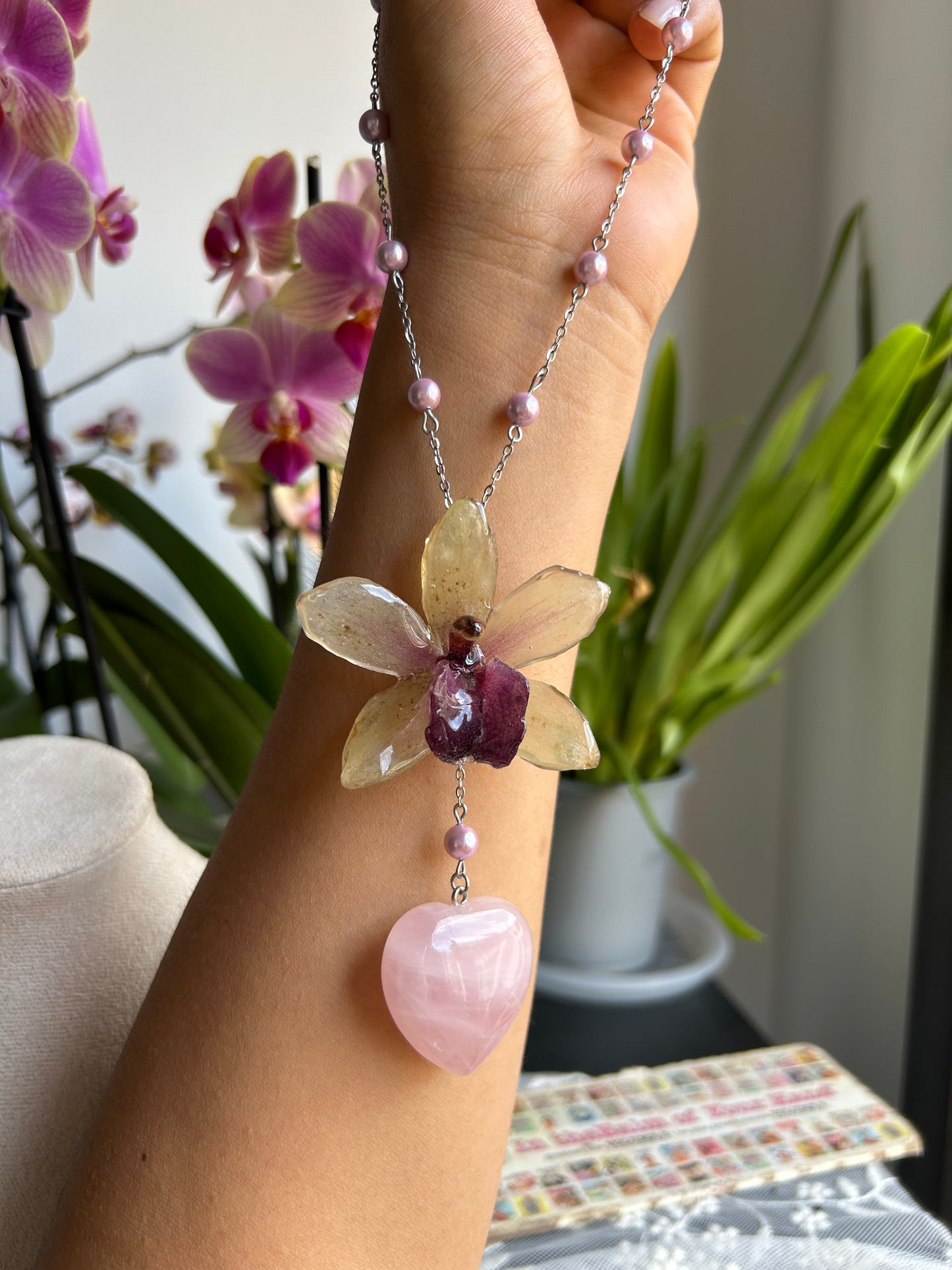 Tropical orchid