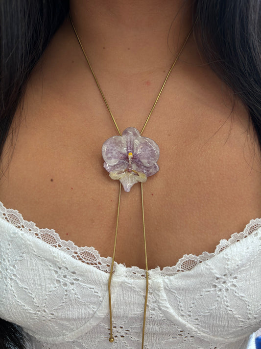 Orchid moteada