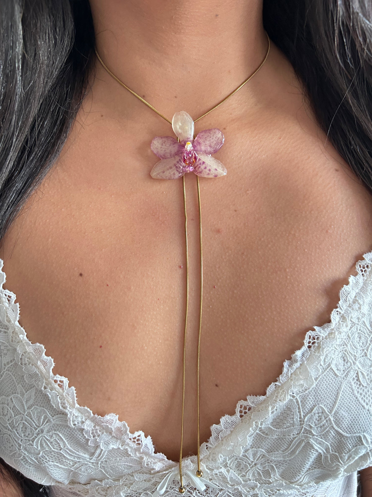 Orchid Grosseto