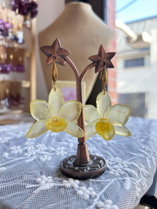 Pendientes dendrobium Yellow