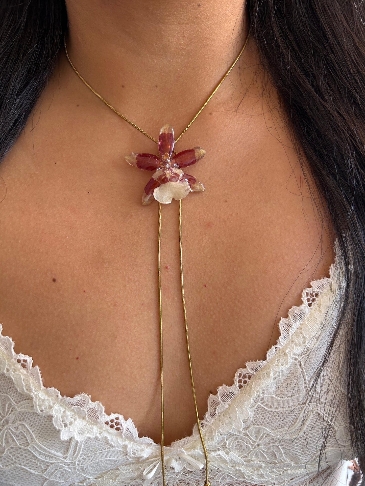 Exotic mini orchid
