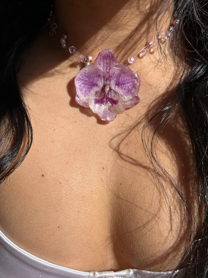 Lilac orchid glow